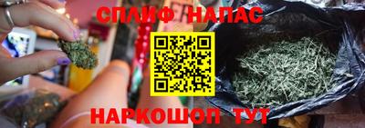 гидра Волжский