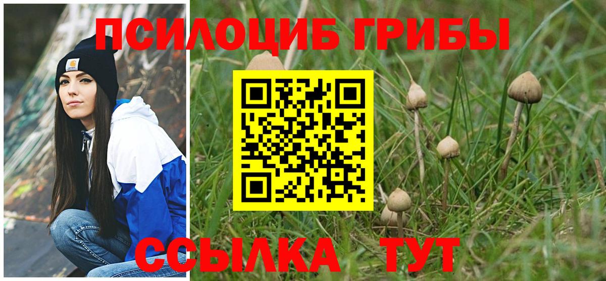 Галлюциногенные грибы мухоморы Торжок