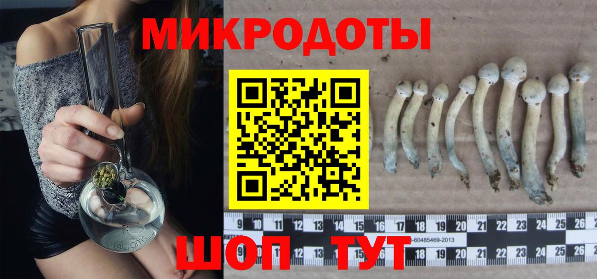 Галлюциногенные грибы Psilocybine cubensis  Вход с VPN  Торжок 